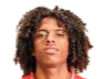 https://img.szqwtwl.com/img/football/player/135ad8787fd13961a93e165e79e736ff.png