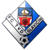 https://img.szqwtwl.com/img/football/team/9bbddc3094f6c80a766e3c3eea4e5876.png